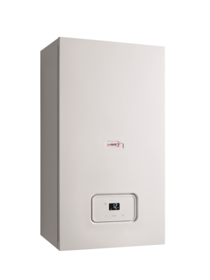 Настенный газовый котел Protherm Рысь К 25/30 MKV